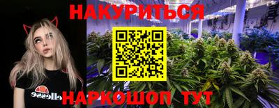 гидропоника Кингисепп