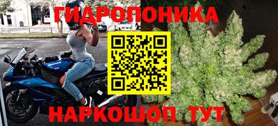 кокс Кинель