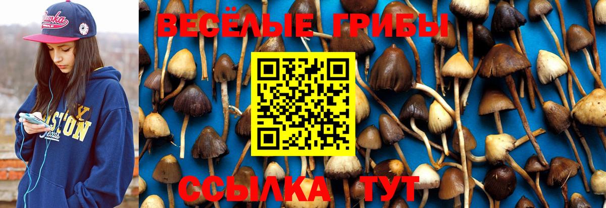 Галлюциногенные грибы GOLDEN TEACHER  Вход с VPN  Котлас 